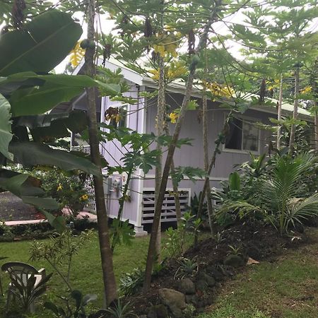 The Dolphin Cottage At Kehena Beach Extérieur photo