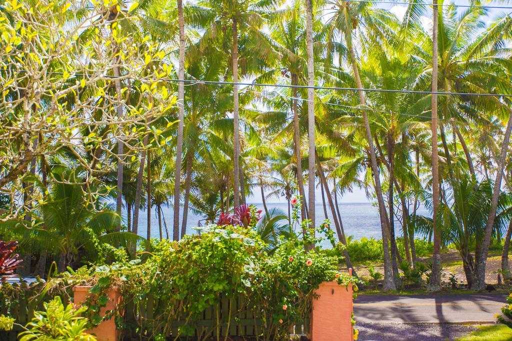 The Dolphin Cottage At Kehena Beach Extérieur photo