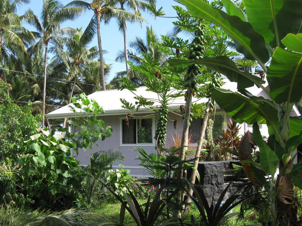 The Dolphin Cottage At Kehena Beach Extérieur photo