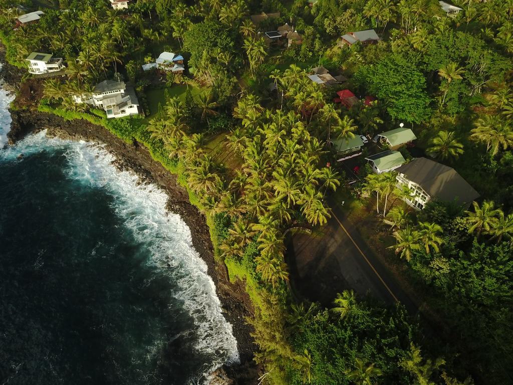 The Dolphin Cottage At Kehena Beach Extérieur photo