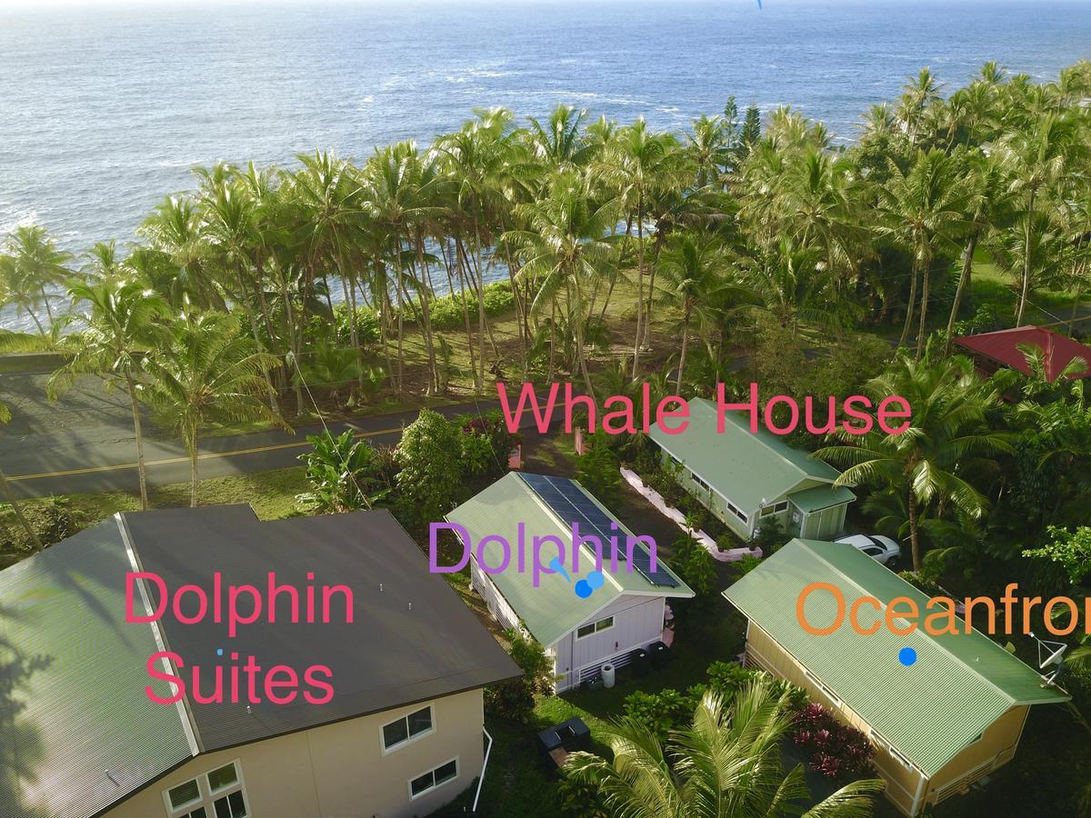 The Dolphin Cottage At Kehena Beach Extérieur photo